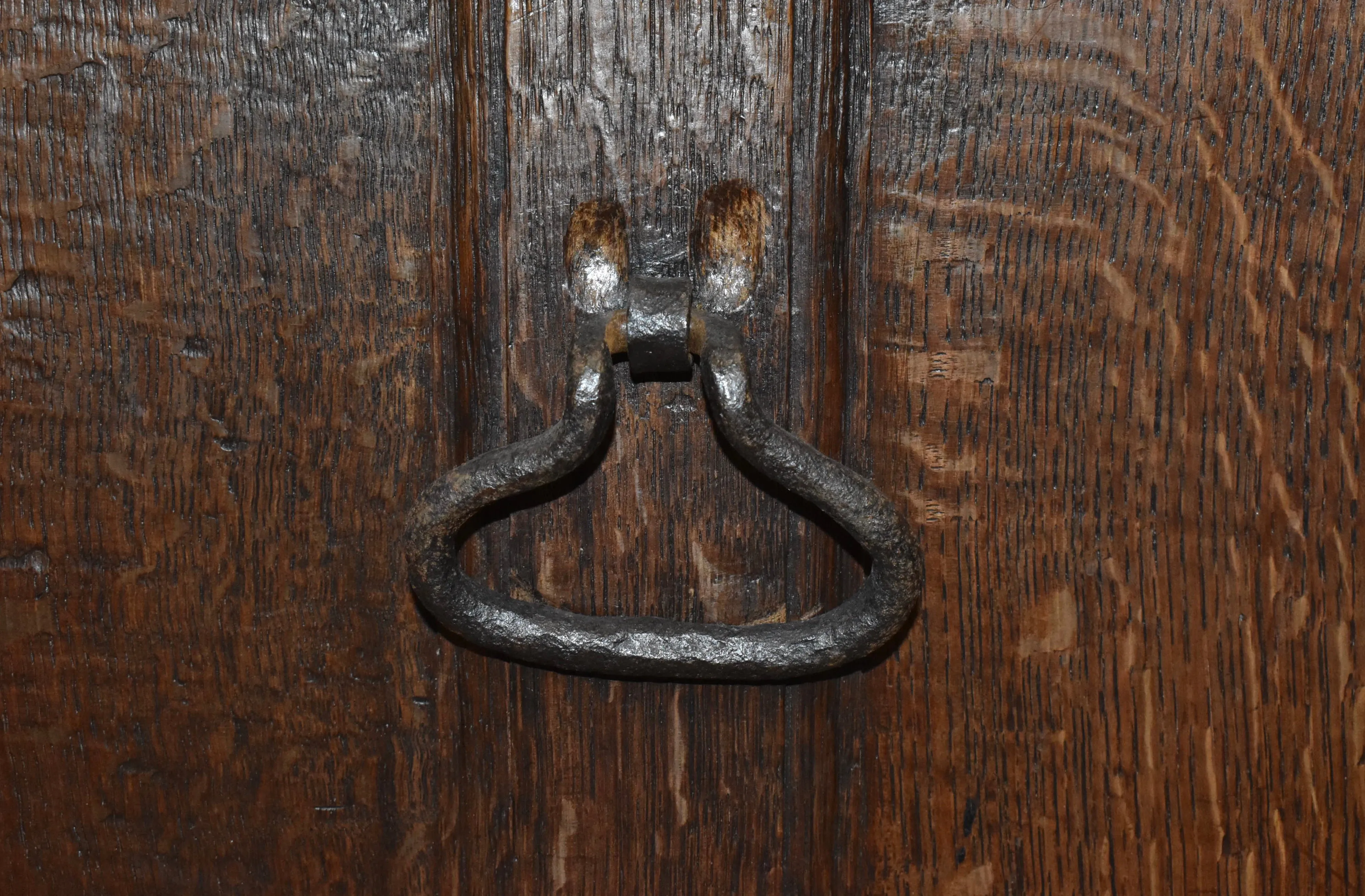 Dutch Oak Trunk