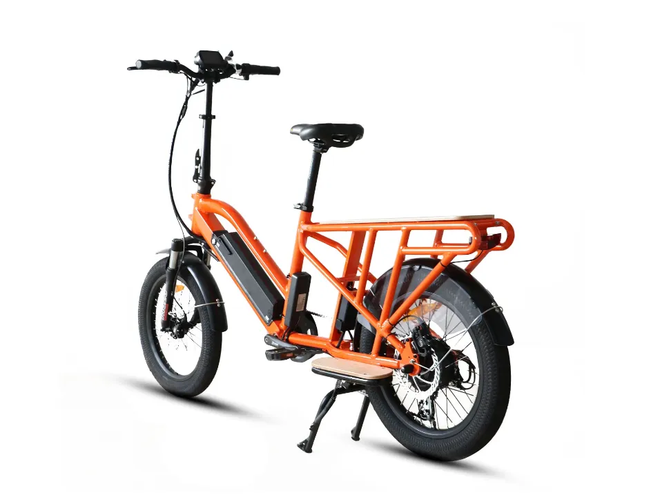 EUNORAU G30-CARGO Electric Cargo Bike