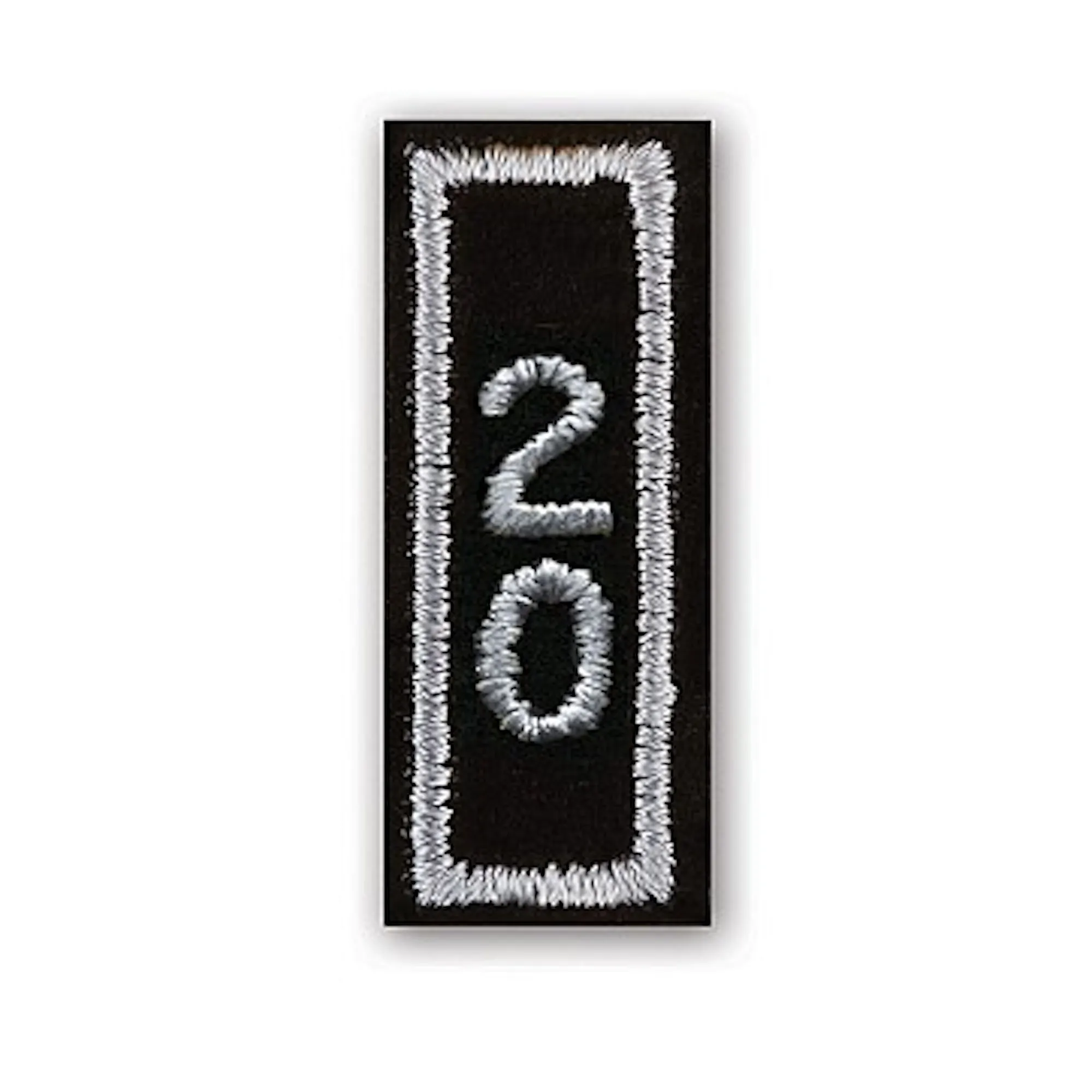 Year 20 Patch In Silver